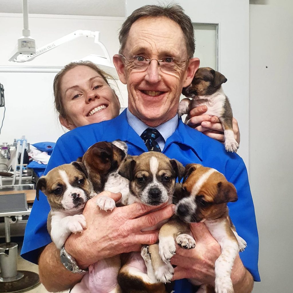 Cannington Veterinary Hospital - Dr Trevor & Dr Tara holding puppies