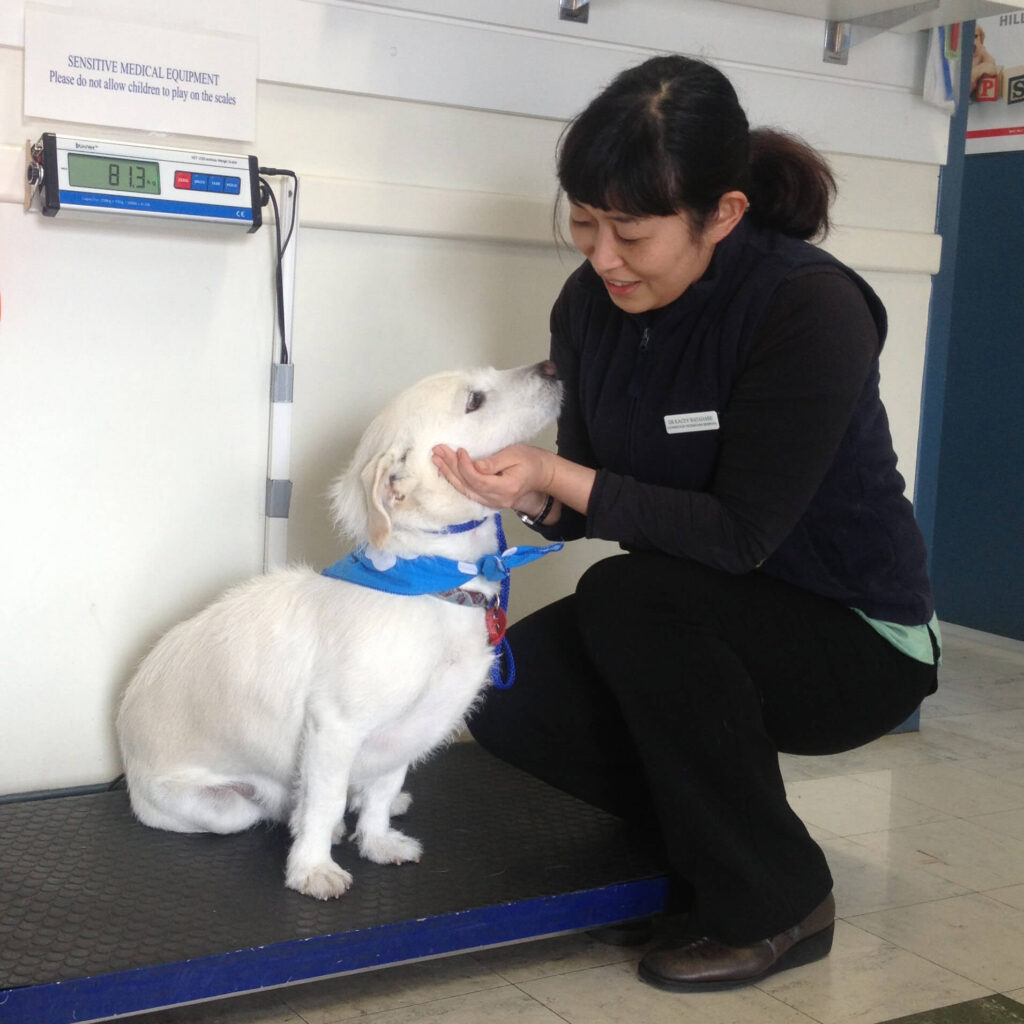 Cannington Veterinary Hospital - Dr Kacey with patient