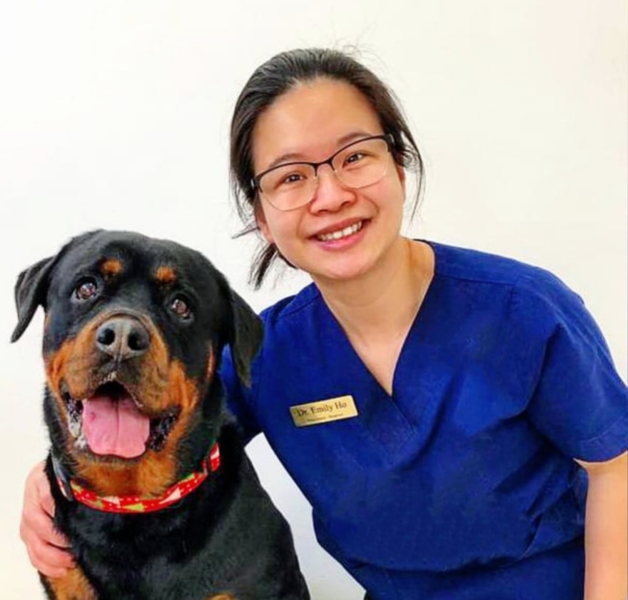 Cannington Veterinary Hospital - Dr Emily Ho