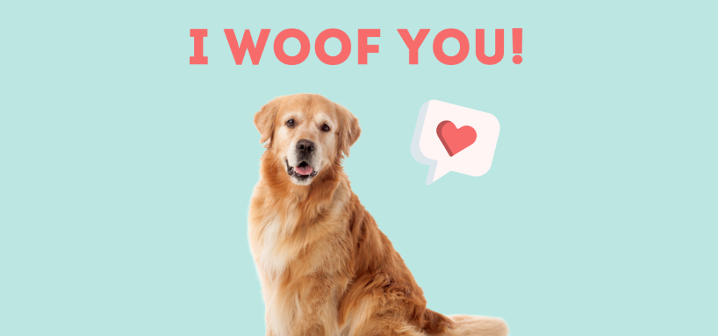Paws for Love: How to Tell That Your Pet Loves You